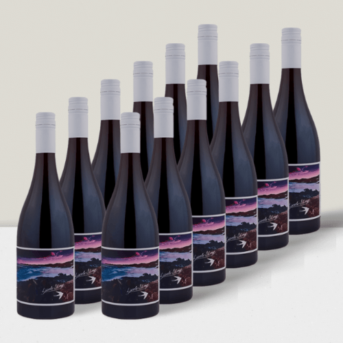 Shiny 'Little Shiny' Pinot Noir 2020 - Phenomenal Wines